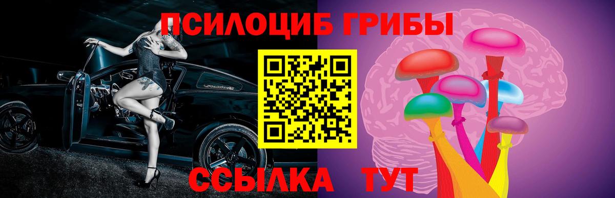 Вятские Поляны  Псилоцибиновые грибы MAGIC MUSHROOMS  Вход с VPN  Псилоцибиновые грибы мицелий 